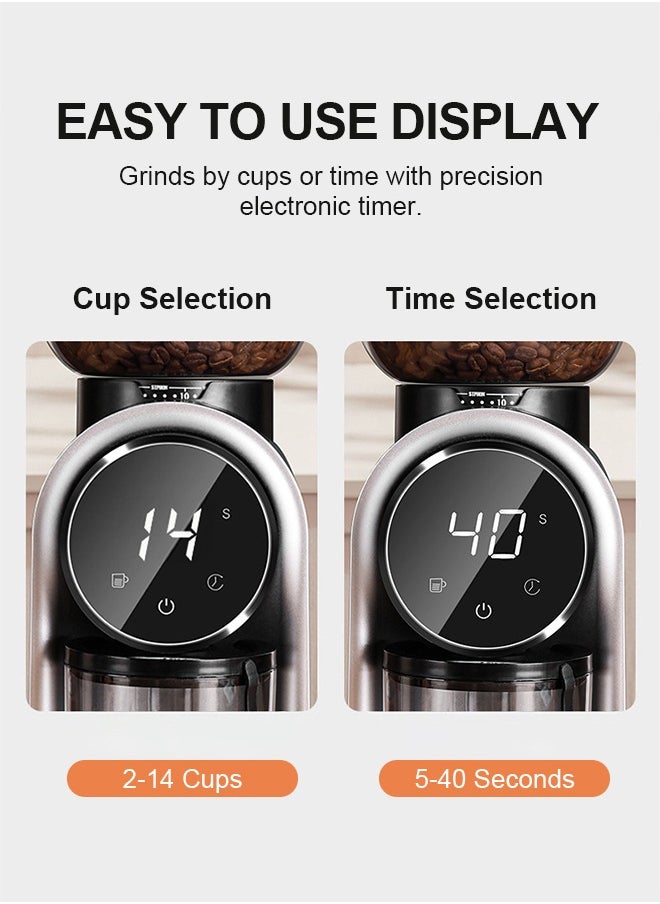 PAKCHOICE - 2-In-1 Conical Burr Coffee Grinder Electric Bean Grinder With Air Blower And 51mm-53mm Portafilter Holder Black - Image 1