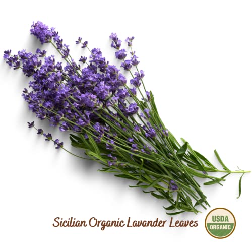 Filippone® Organic Dried Lavender Bunch 25 g (0.88 oz), Freshly Grown in The Mountains of Sicily, Culinary Lavender, Italian Dried Lavender Branches, Herb, Spices, Certified USDA Organic - Image 2