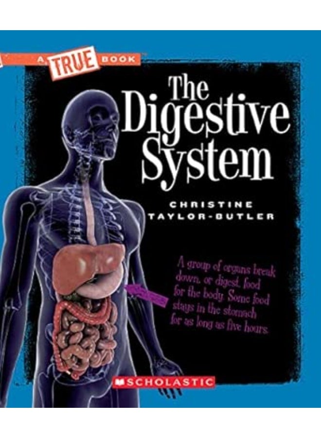 The Digestive system