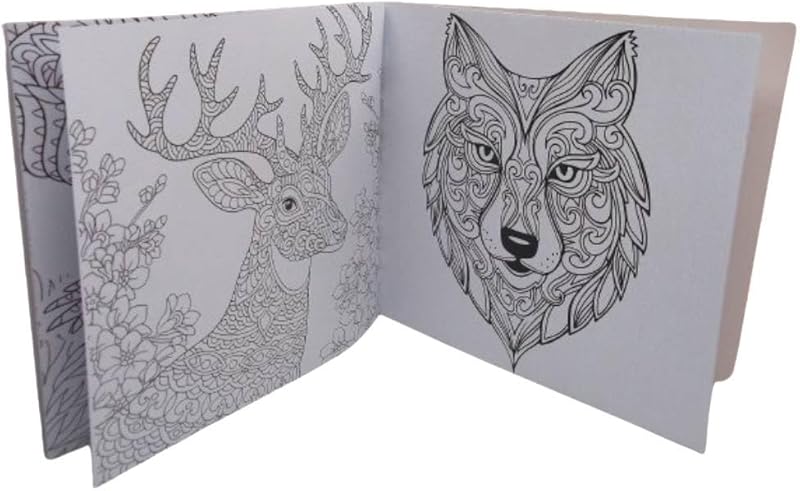 Coloring Book, 24 Professional Drawings Suitable for Gifted Adults and Kids