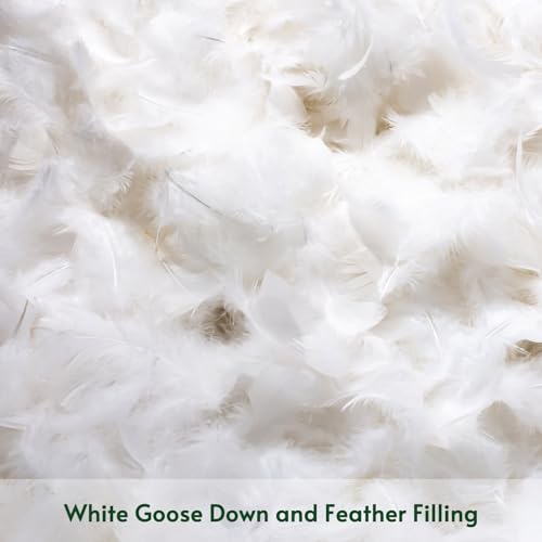 OTOSTAR Pack of 2 Down and Feather Throw Pillow Inserts, 12 x 20 Soft Fluffy Pillow Inserts with 100% Cotton Cover Decorative Pillows for Sofa Couch Bed-White - Image 2