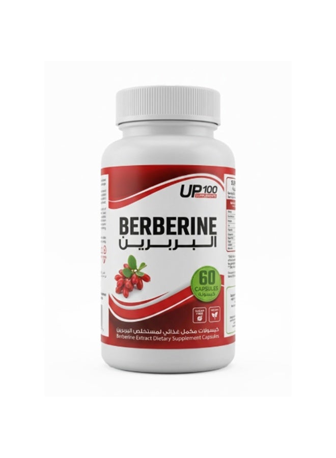 Berberine Extract Dietary Supplement Capsules – 97% Pure and Intensive Dose