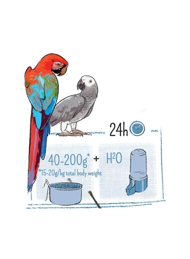 Witte Molen ويت مولن بيور باروت 2 كجم - Image 4