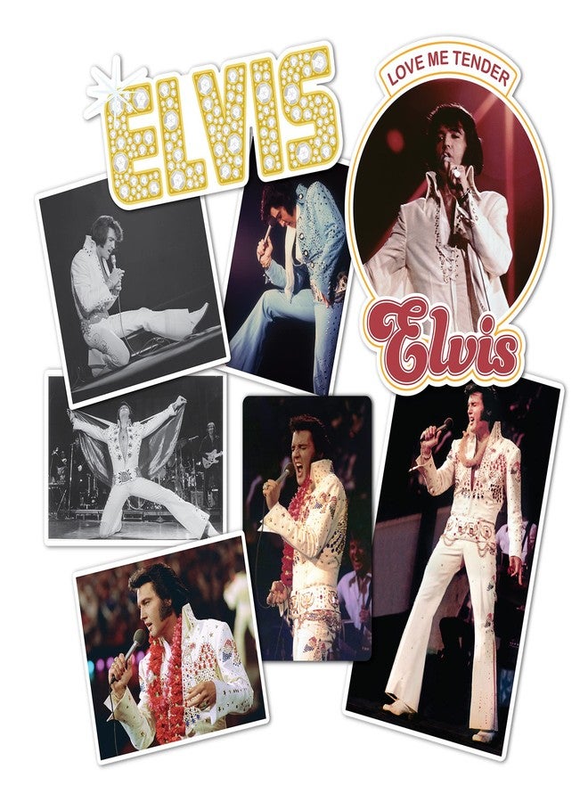 Desert Cactus Elvis Presley Stickers Sheet Vinyl Decal Crew Laptop Water Bottle Car Scrapbook Sheet (Type 2) (Version 4) - Image 1