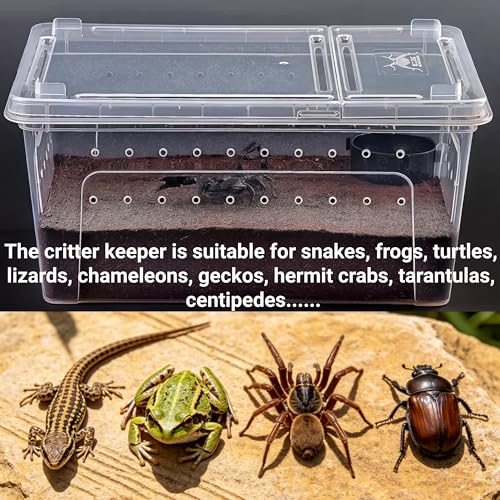 Tlence 2 Pack Critter Keeper, 12.6"x8.7"x6" Clear Plastic Enclosure Terrarium, Portable Transport Container with Feeding Bowl, Small Hatching Container with Ventilated Lid for Snake, Lizard, Gecko - Image 5