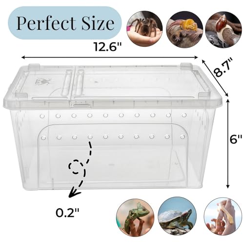 Tlence 2 Pack Critter Keeper, 12.6"x8.7"x6" Clear Plastic Enclosure Terrarium, Portable Transport Container with Feeding Bowl, Small Hatching Container with Ventilated Lid for Snake, Lizard, Gecko - Image 2