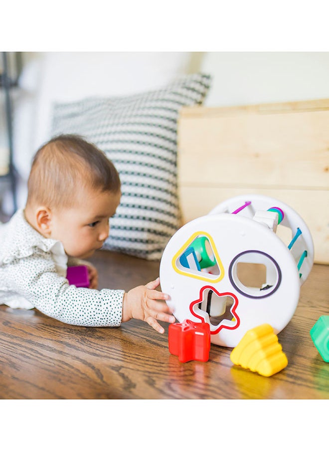 Baby Einstein - Zen And Cals Playground - Image 1