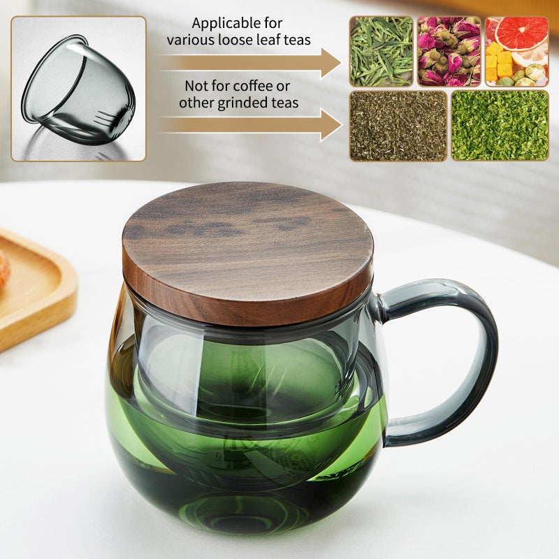 DOPUDO 17 OZ Glass Tea Cup with Infuser and Lid, 500 ML Large Borosilicate Teacup, Clear Mug for Loose Leaf Tea, Blooming Tea, Tea Bags - Perfect Christmas or Birthday Gift for Women - Image 4