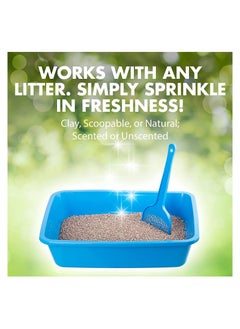 Arm & Hammer Cat Litter Deodorizer with Baking Soda - 567g  - Image 3