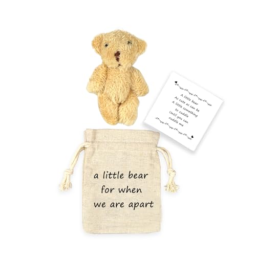 LUOKIFUR Pocket Bear Gift Long Distance Teddy Bear I Love You/Couple Memorial/Missing You Gift (we are Apart) - Image 1