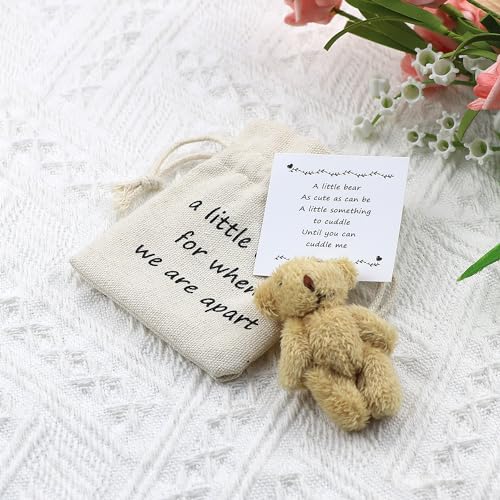 LUOKIFUR Pocket Bear Gift Long Distance Teddy Bear I Love You/Couple Memorial/Missing You Gift (we are Apart) - Image 4