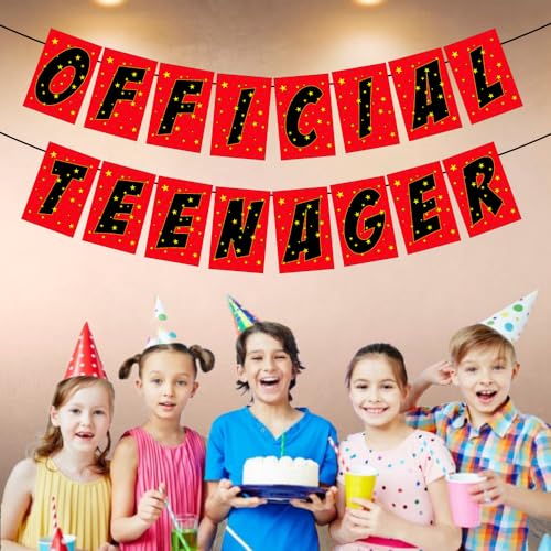 Balloonistics Official Teenager Happy Birthday Banner Bunting Flags for Teenager Party - Image 3
