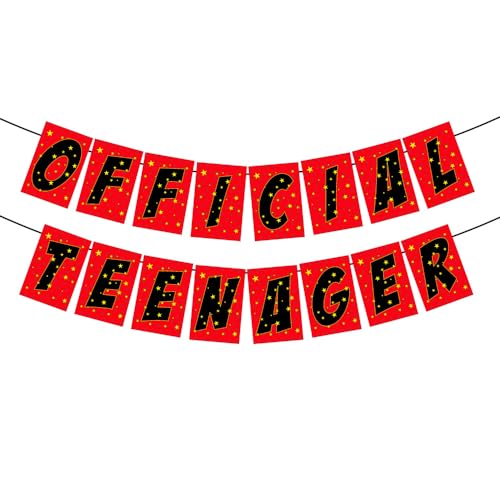Balloonistics Official Teenager Happy Birthday Banner Bunting Flags for Teenager Party - Image 2
