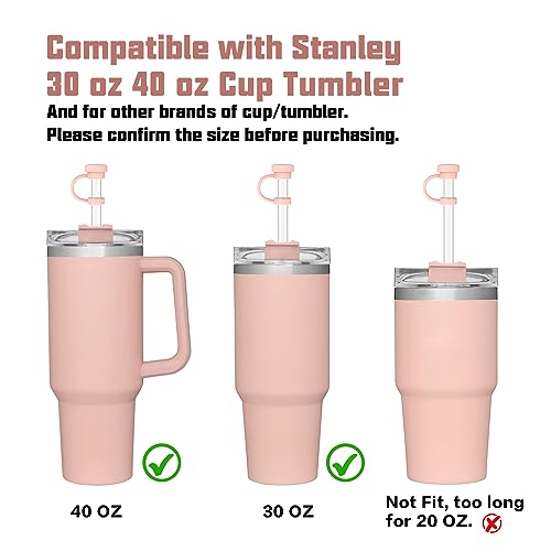 Beonsky Replacement Straw Cover Spill Stopper Accessories for Stanley Cup 40 oz 30 oz Quencher, Tumbler Accessories of 6 Clear Straw with Cleaning Brush, 2 Silicone Cover Cap, 4 Leak Sproof Plug for Stanley - Image 5