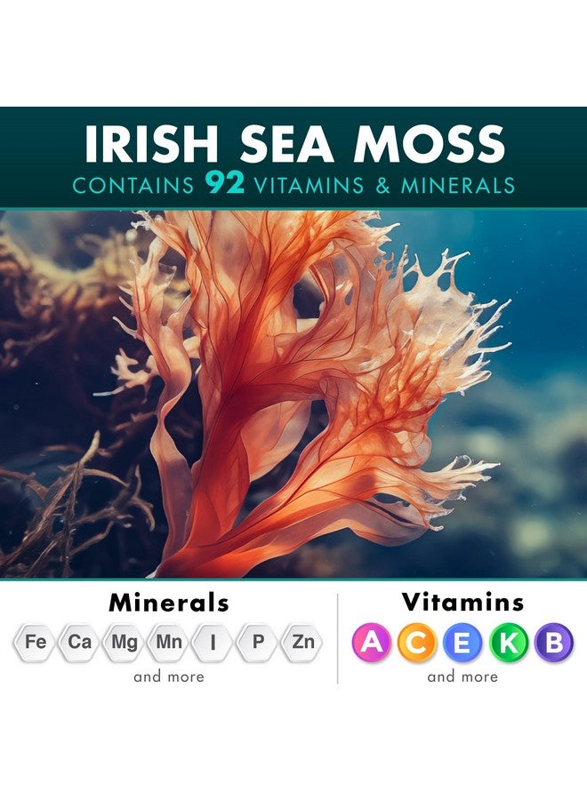 سيكرت إلمنت زيت حبة البركة السوداء من الطحالب البحرية الأيرلندية، عشبة الأشواغاندا والزنجبيل، كبسولات ٢٠٠٠٠ ملغ، زيت حبة البركة السوداء من الطحالب البحرية الأيرلندية، عشبة الأشواغاندا وجذر الأرقطيون، مكمل غذائي متكامل، ١٢٠ كبسولة - Image 3