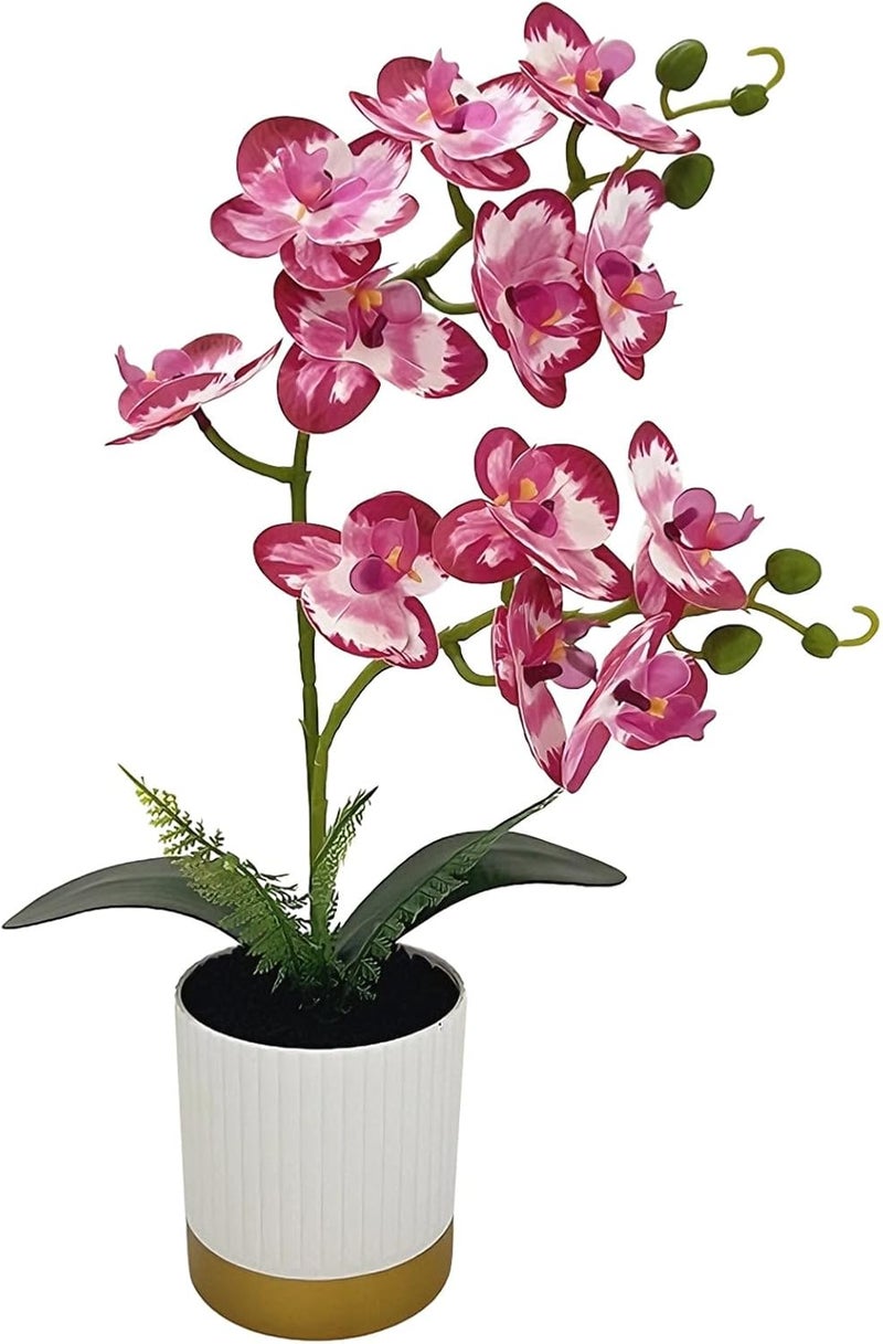 Artificial Phalaenopsis Orchid in Striped Ceramic Planter, Real Touch Fake Flowers, Silk Plant for Home Decor - Image 1