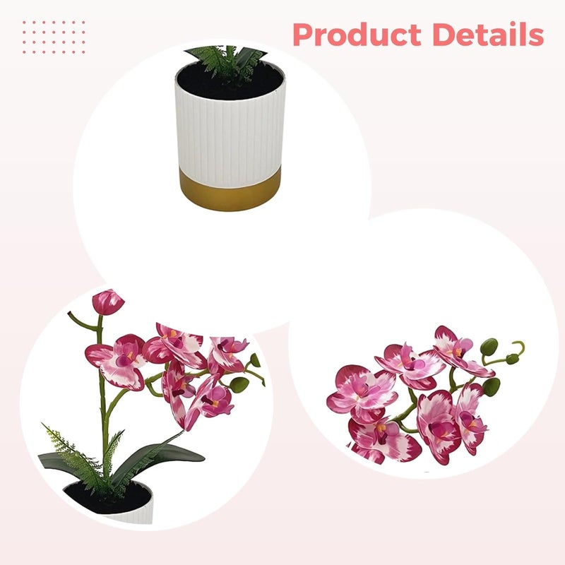 Artificial Phalaenopsis Orchid in Striped Ceramic Planter, Real Touch Fake Flowers, Silk Plant for Home Decor - Image 4