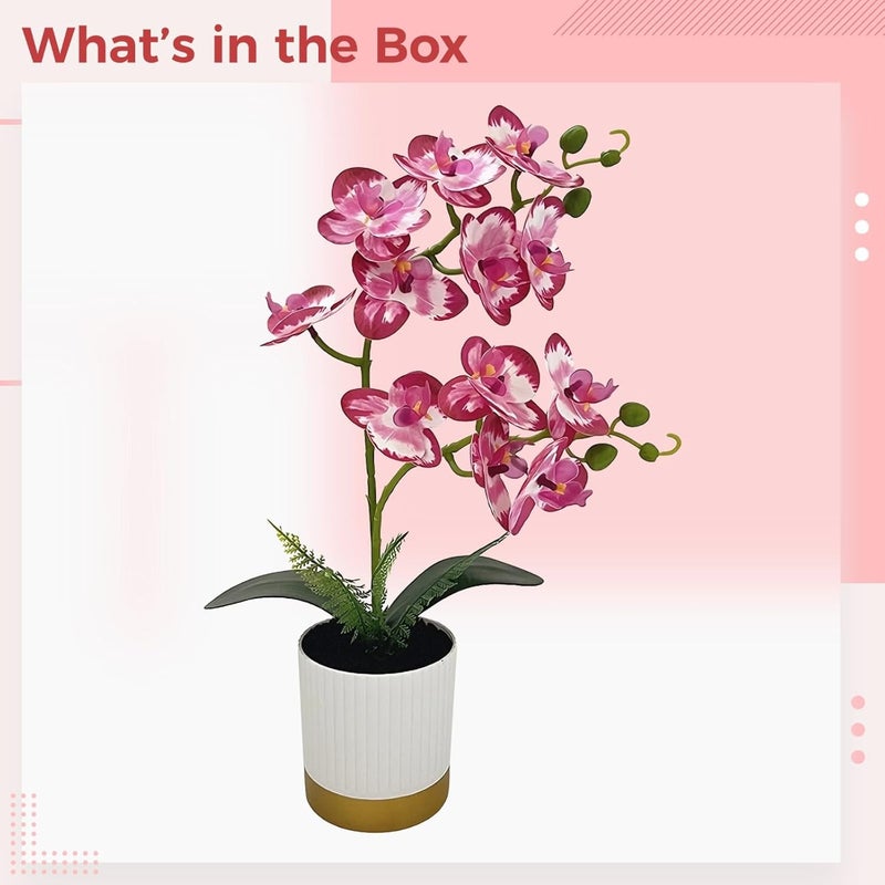Artificial Phalaenopsis Orchid in Striped Ceramic Planter, Real Touch Fake Flowers, Silk Plant for Home Decor - Image 5