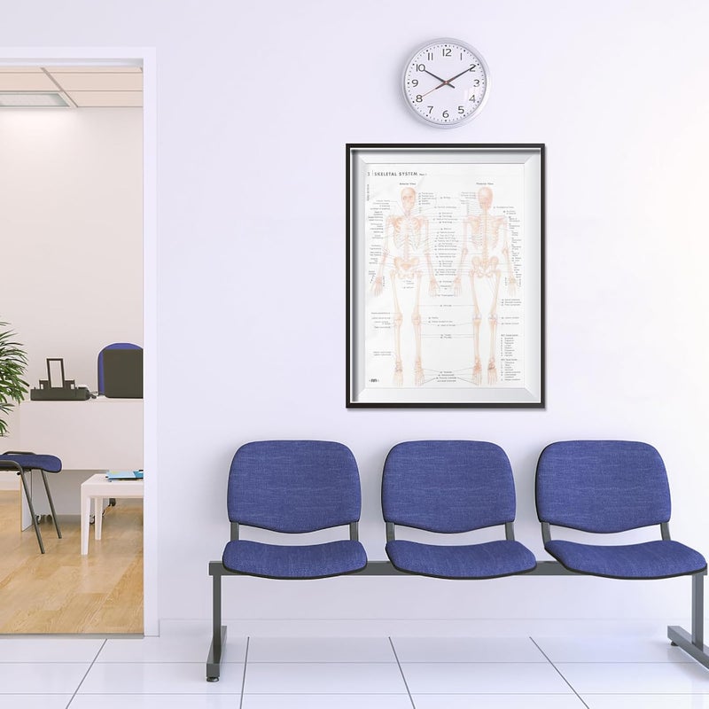 KICHOUSE Human Anatomy Skeletal and Muscular Poster 50x70cm (20x28 Inch) Silk Fabric Educational Chart Scientific Decor for Medical Study and Classroom Teaching - Image 5