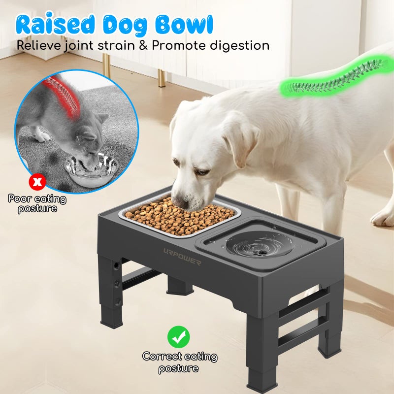 URPOWER 2-in-1 Elevated Dog Bowls 4 Height Adjustable Raised Dog Bowls with No Spill Water Bowl and Stainless Steel Food Bowl Non-Slip Stand for Small Medium Large Dogs - Image 3