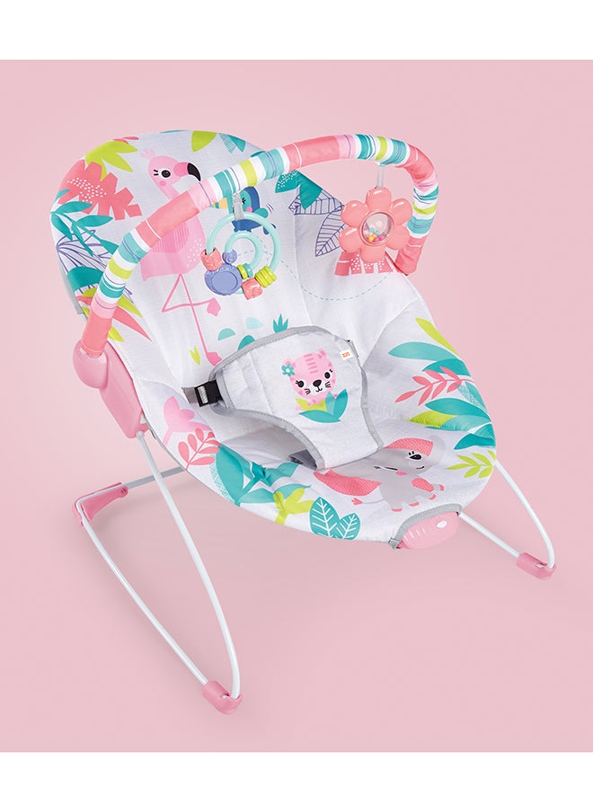 Bright Starts اهتزازات فلامينغو - Tm قافز يهتز  - Image 4