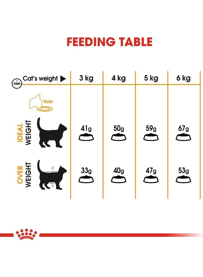 ROYAL CANIN Hair & Skin Adult Cat Dry Food 2kg – Supports Healthy Skin & Shiny Coat - Image 2