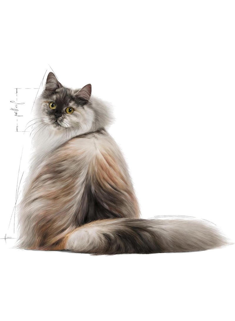 ROYAL CANIN Hair & Skin Adult Cat Dry Food 2kg – Supports Healthy Skin & Shiny Coat - Image 3