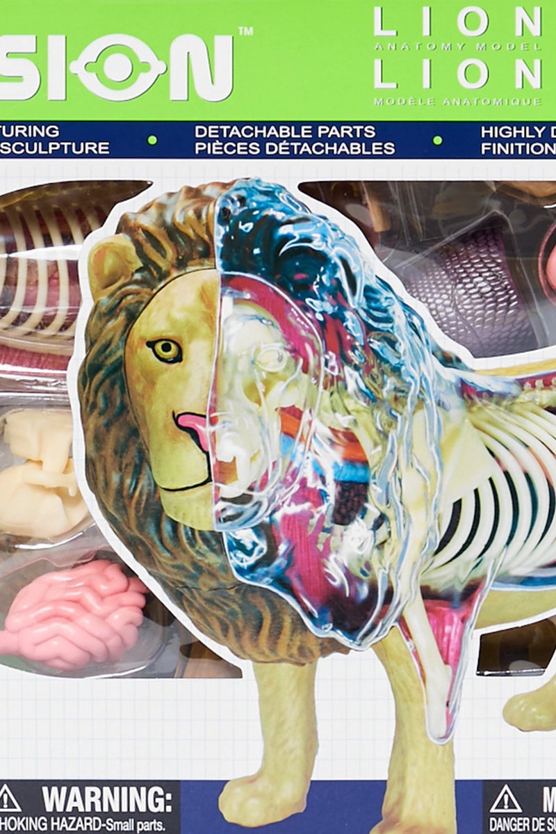 4D Master Lion Anatomy Model Building Pack - Image 3