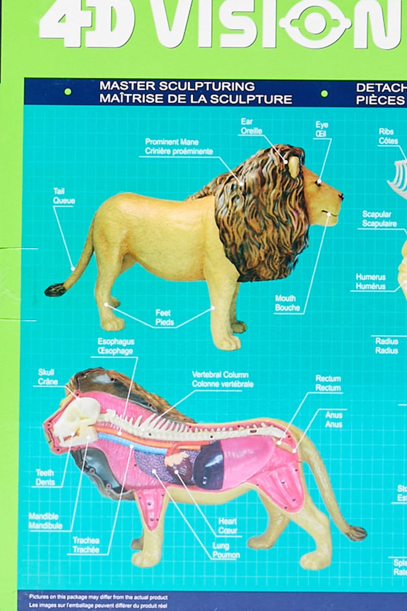 4D Master Lion Anatomy Model Building Pack - Image 2