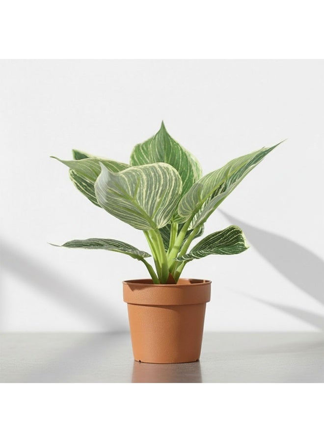 DANUBE HOME Platinum Diamond Artificial Potted Plant 75 Cm, 13 Leaves Indoor Decorative Plant For Home & Office Décor, Realistic Greenery  – Green - Image 1