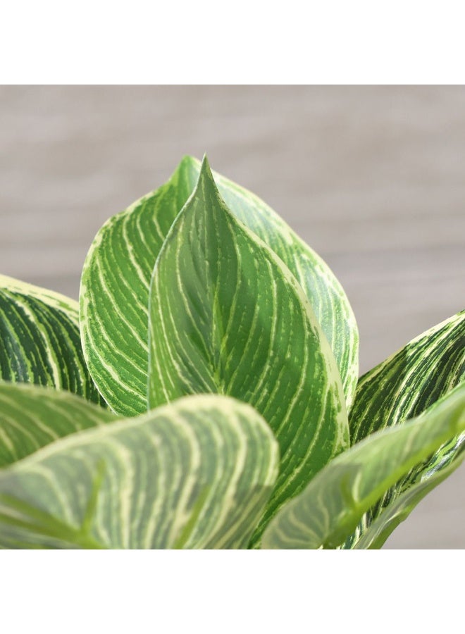 DANUBE HOME Platinum Diamond Artificial Potted Plant 75 Cm, 13 Leaves Indoor Decorative Plant For Home & Office Décor, Realistic Greenery  – Green - Image 3