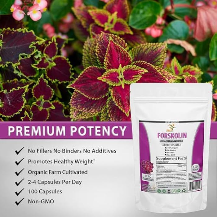 SMSHEALTHPRODUCTS.com Pure Forskolin Extract Supplement with Potent Coleus Forskohlii 20% Standardized 1,000 mg for Enhanced Energy - Plant-Based Energy Supplements for Women and Men - 100 Veggie Capsules - Image 2