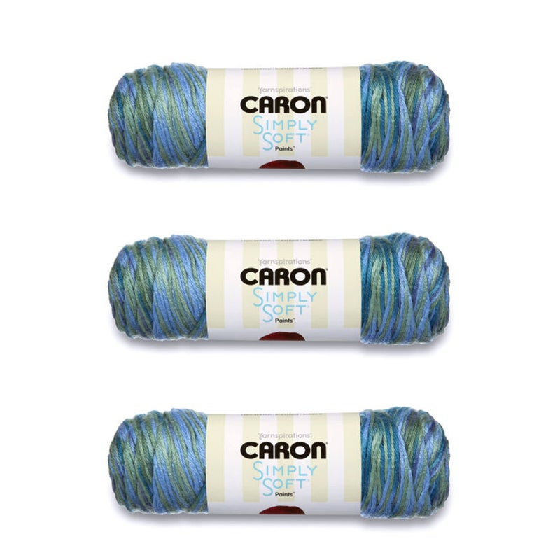 Caron Simply Soft Spring Brook Paints Yarn 3 Pack of 141g5oz Acrylic 4 Medium Worsted 235 Yards KnittingCrochet 6oz - Image 2