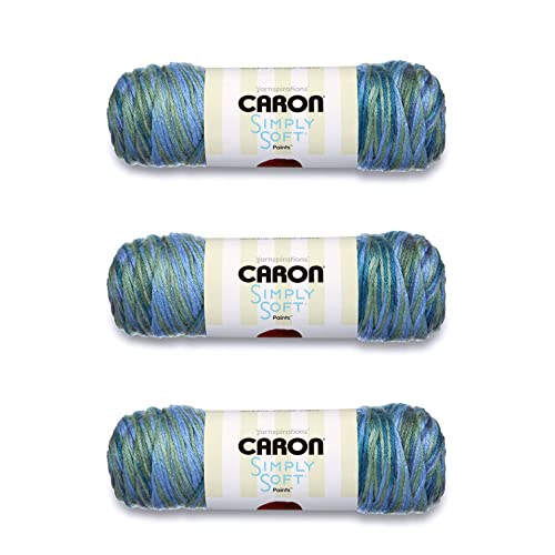 Caron Simply Soft Spring Brook Paints Yarn 3 Pack of 141g5oz Acrylic 4 Medium Worsted 235 Yards KnittingCrochet 6oz - Image 1