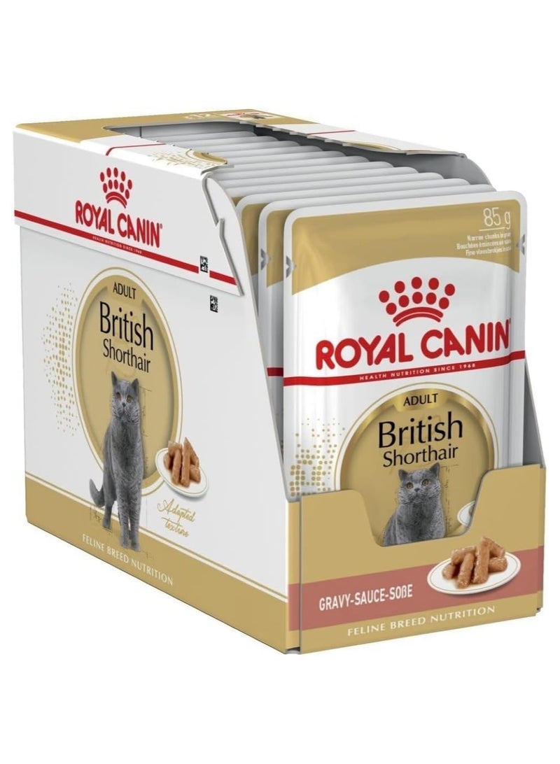 رويال كانين طعام رويال كانين للقطط البريطانية قصيرة الشعر (طعام رطب - أكياس) 12 × 85 جرام - Image 1