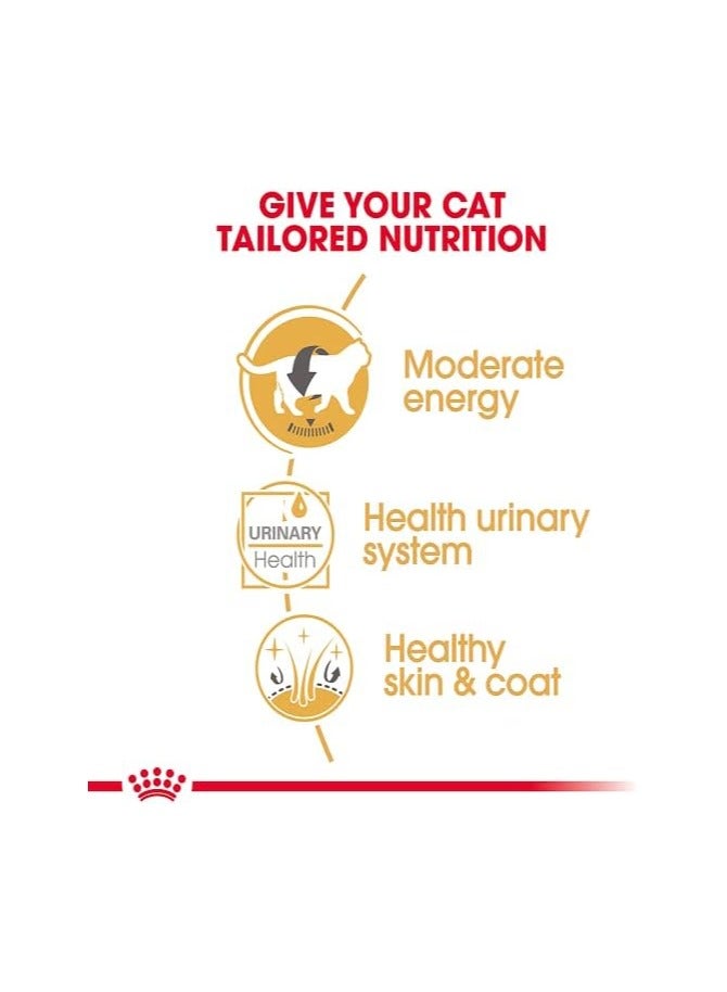 رويال كانين طعام رويال كانين للقطط البريطانية قصيرة الشعر (طعام رطب - أكياس) 12 × 85 جرام - Image 4