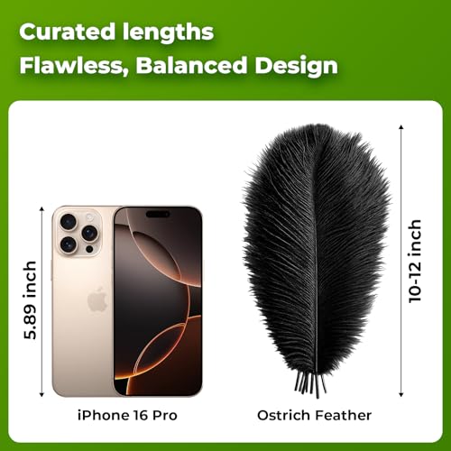 Piokio 20pcs Natural Black Ostrich Feathers 10-12 inch (25-30cm) Bulk Feathers for Home Decoration and DIY Clothes Decoration, Gatsby Decorations - Image 2