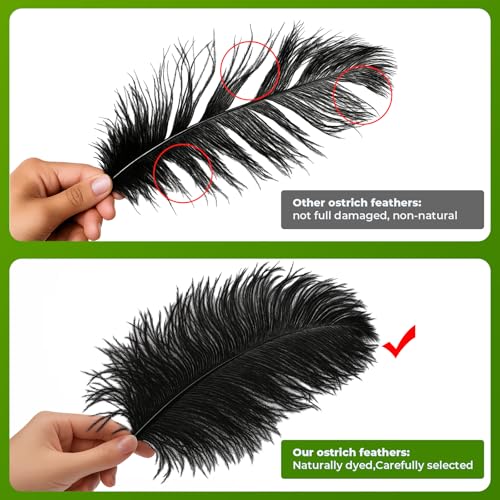 Piokio 20pcs Natural Black Ostrich Feathers 10-12 inch (25-30cm) Bulk Feathers for Home Decoration and DIY Clothes Decoration, Gatsby Decorations - Image 3