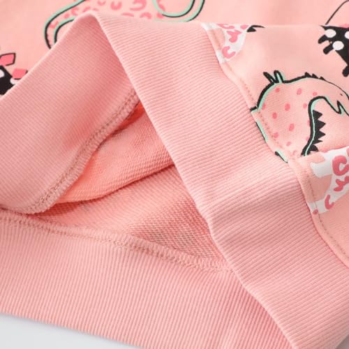 NUBEEHOHO Dinosaur Sweatshirts for Girls Toddler Girl Dinosaur Long Sleeve Pullover Top Shirts Baby Girls Winter Clothes Crewneck Dino Sweater 3T/8307 - Image 2