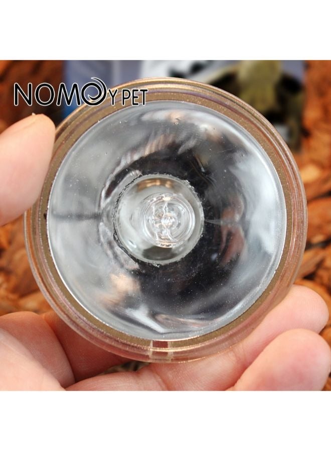 B&K NOMOY UVB Promote Vitamin Synthesis Full Spectrum Sun Light Halogen Basking Lamp Basking Lamp Simulate the Sunshine More Natural - Image 5