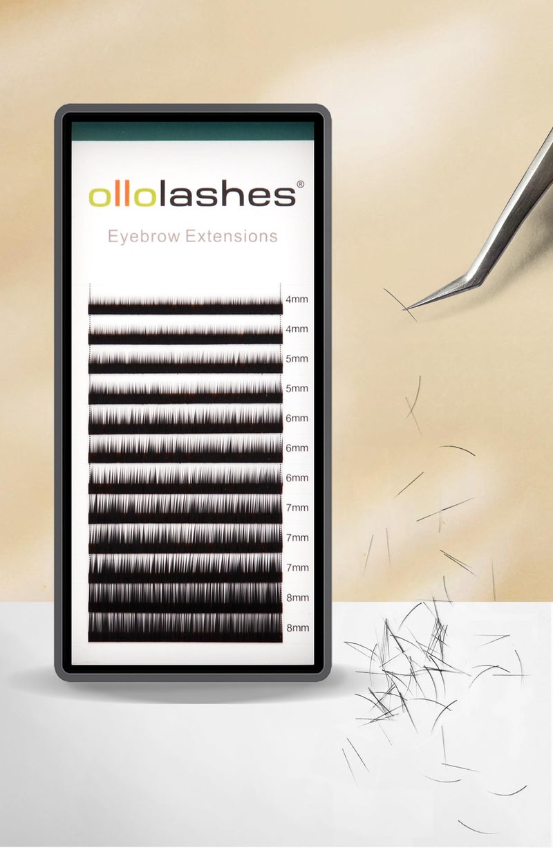 OLLOLASHES Eyebrow Extensions I Curl 010mm Mix48mm 4mm 5mm 6mm 7mm 8mm Black Color for Salon Use Only Black Mix48mm 010 I Curl