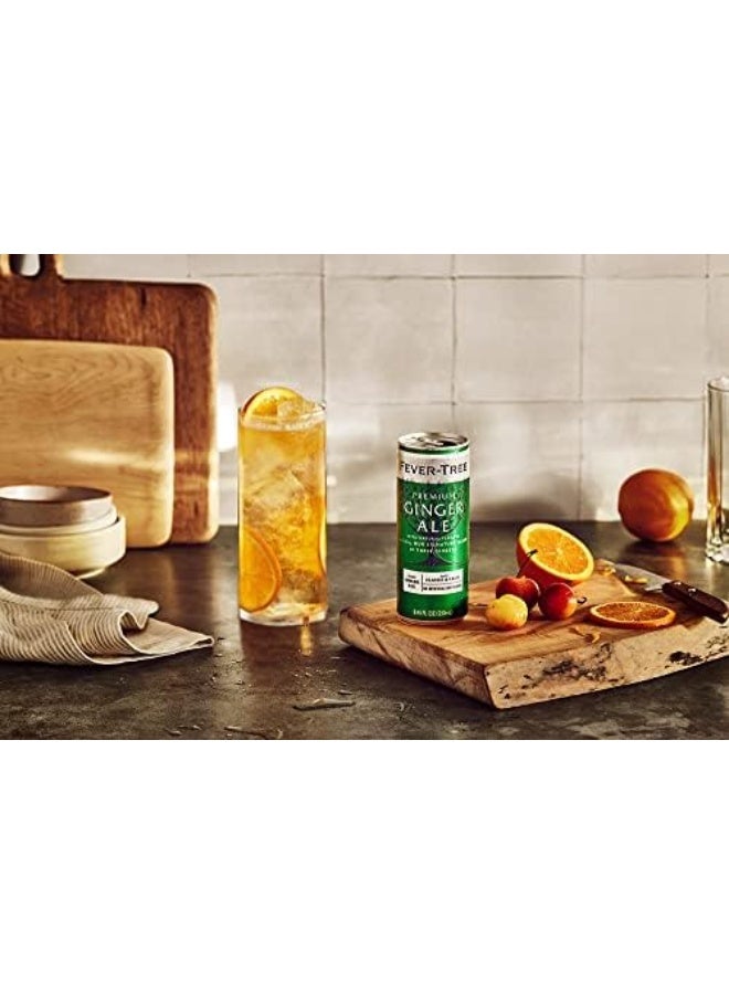 FEVER TREE FeverTree Ginger Ale  Premium Mixer for Cocktails and Mocktails 845 fl oz Cans Pack of 4  Naturally Sourced NonGMO - Image 5