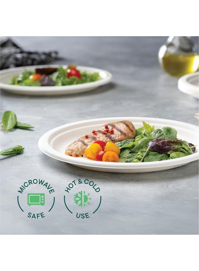 Stack Man 100% Compostable Paper Plates 10 Inch Heavy-Duty [125-Pack] Eco-Friendly White Bagasse Disposable Dinner Plates From Natural Sugarcane - 10" Biodegradable Plate (BPI-Certified) (PFAS-Free) - Image 4