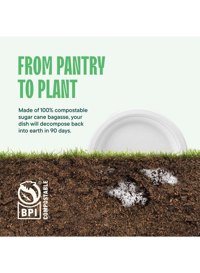 Stack Man 100% Compostable Paper Plates 10 Inch Heavy-Duty [125-Pack] Eco-Friendly White Bagasse Disposable Dinner Plates From Natural Sugarcane - 10" Biodegradable Plate (BPI-Certified) (PFAS-Free) - Image 5