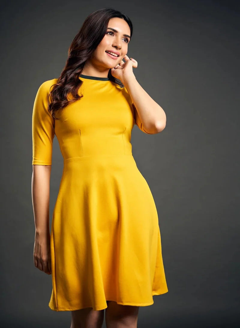 Zigzag Fitted Bodice Dress