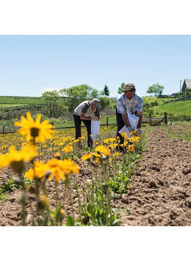 Weleda Arnica Bumps & Bruises Skin Salve, 25 g - Image 3
