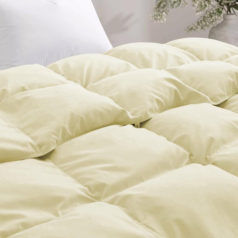 BEDDY FUSION Heavy Winter 600 GSM Comforter Double Bed Size 90X100 600 GSM Microfiber Super Soft Fluffy for Winter ComforterRajaiDuvetBlanket Double Bed Ivory Color - Image 3
