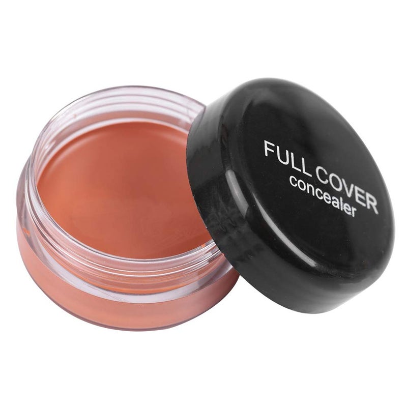 Concealer Conceal Dark Circles Eye Bags Marks Makeup FC04
