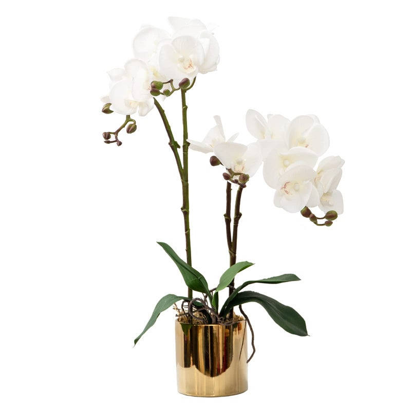 CXGS Artificial Orchid Flower Plant Real Touch Faux Orchids in Ceramic Vase White 197 Fake Phalaenopsis Flower Arrangement Centerpiece Home Indoor Decor