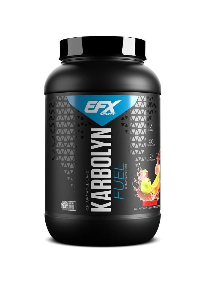 EFX SPORTS - EFX Sports karbolyn fuel performance Carbs 1950g Fruit Punch Flavor 36 Serving - Image 1